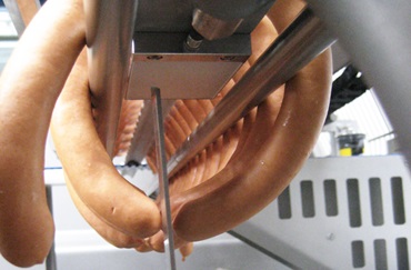 Fish, meat and sausage processing